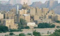 السلطة المحلية والمكتب التنفيذي بشبوة ينددان باحتفالات المرتزقة بالعيد الوطني لدويلة المحتل الإماراتي